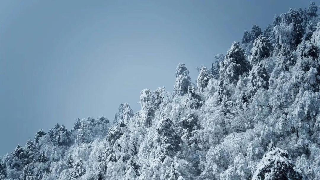 茶叶含有哪些成份？游戏画面